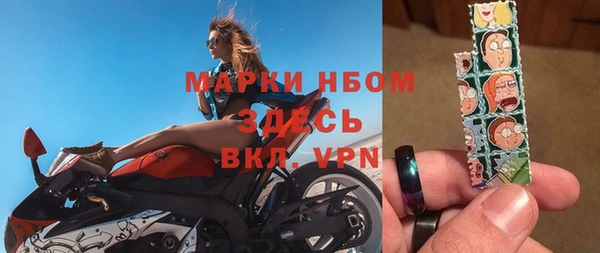 шишки Горнозаводск