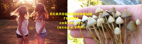 шишки Горнозаводск