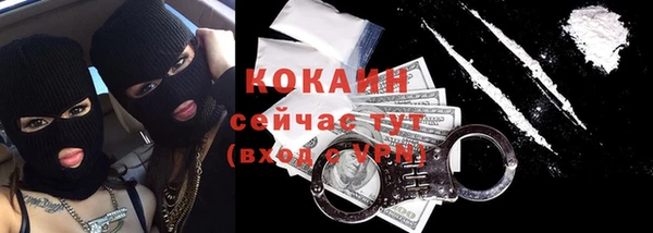 шишки Горнозаводск