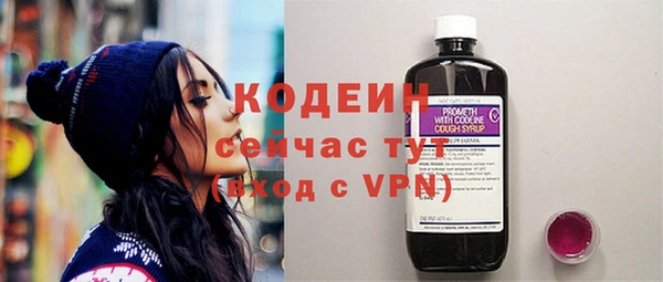 шишки Горнозаводск