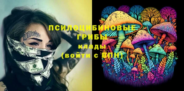 бутират Вяземский