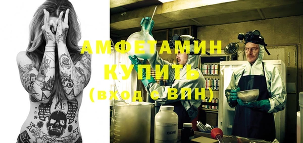 ПСИЛОЦИБИНОВЫЕ ГРИБЫ Горняк