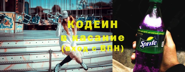 шишки Горнозаводск