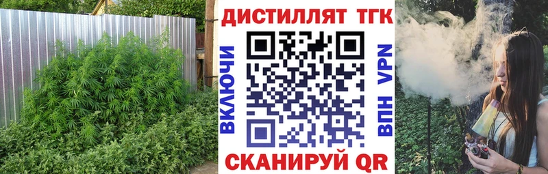 купить наркотики цена  Заволжск  ТГК THC oil 