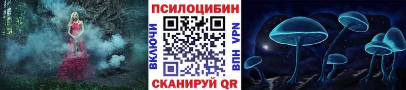 блэк спрут   даркнет сайт  Заволжск  Псилоцибиновые грибы MAGIC MUSHROOMS 